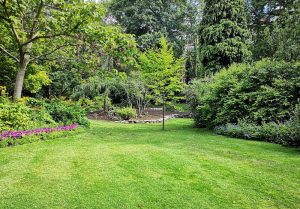 Optimiser l'expérience du jardin à Montrol-Senard